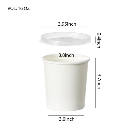 DealbyBox Disposable Kraft Paper Soup Cups with Lids, Paper Food Containers, Ice Cream Cups, To Go Bowls for Hot and Cold Food Combo Pack (250 Sets) (White with PP Lid, 16oz)