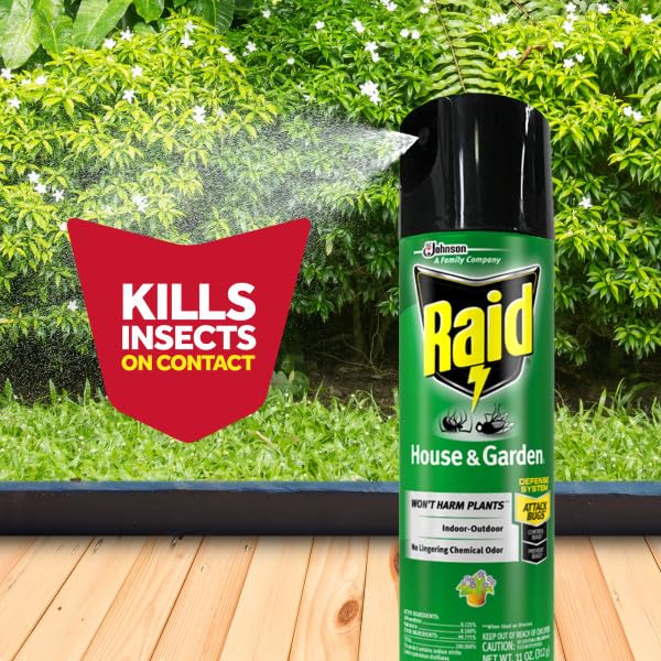 Raid Bug Killer Aerosol - Kills Bugs on Contact | Safe for Indoor & Outdoor Use - 11 Ounce