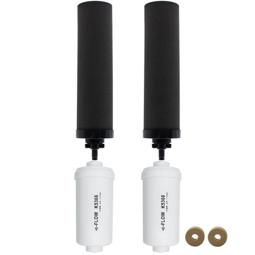 Renami Black Carbon Filter & Fluoride Filters, Combo Pack