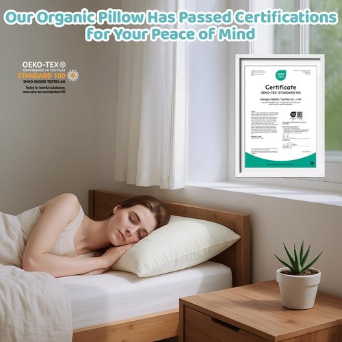 LOFE Organic Pillow with Pillowcase - 20x26 Organic Standard Pillow with 100% Organic Cotton Shell, Adjustable Loft Youth Plilow, Machine Washable, Soft, Perfect for Youth&Adults
