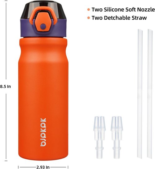 BJPKPK Insulated Water Bottle - 18oz Stainless Steel Flask with Straw & Carry Handle - Orange