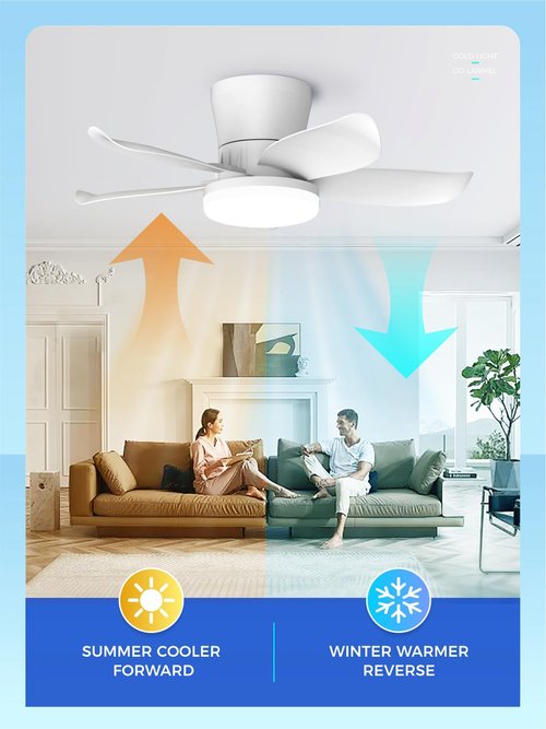 LANMEL 25 Inch White Flush Mount Ceiling Fan with Light and Remote, Low Profile Modern Ceiling Fan, 6 Speed, Reversible, 3000k-6500k Dimmable LED, Quiet DC Motor for Indoor Outdoor