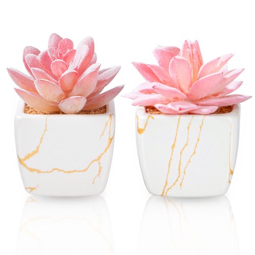 Taybonds Artificial Succulent in 2PCS White Ceramic Pot, Small Fake Succulents Plants for Office and Desk Decor,Bathroom, Bedroom, Shelves, Vanity for Women