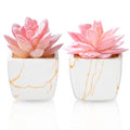 Taybonds Artificial Succulent in 2PCS White Ceramic Pot, Small Fake Succulents Plants for Office and Desk Decor,Bathroom, Bedroom, Shelves, Vanity for Women