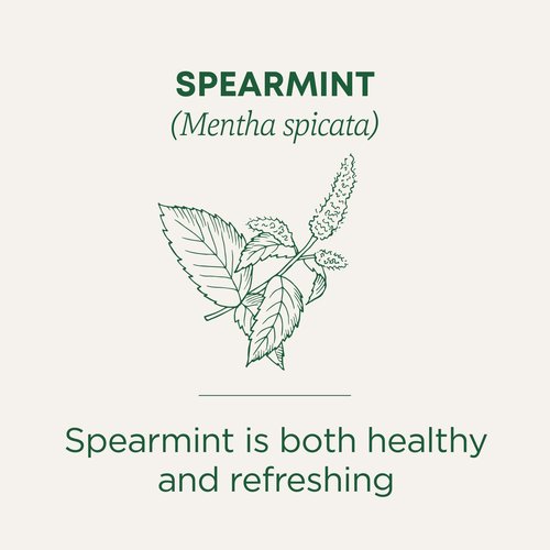 Traditional Medicinals Tea, Organic Spearmint, Supports Everyday Wellness, Healthy & Refreshing - 48 Tea Bags