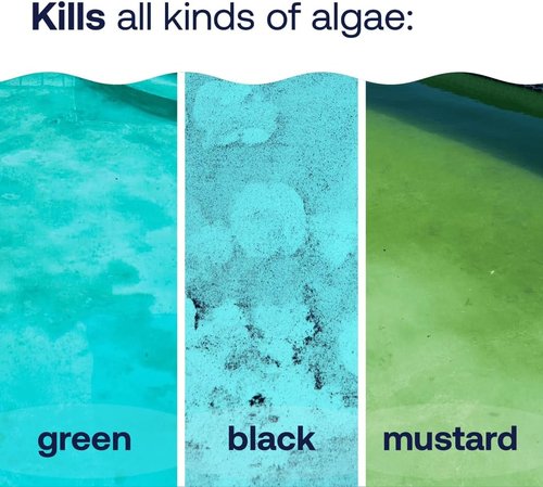 HTH 67244 Algae Guard - Long Lasting Formula for Green, Black & Mustard Algae | Fast Acting 32oz