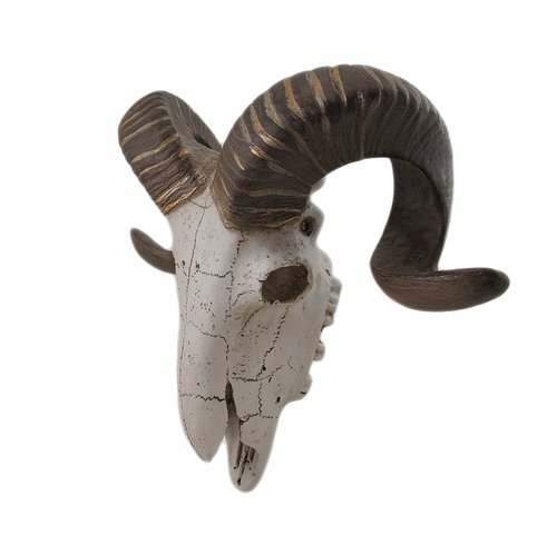 Deco 79 Polystone Sheep Home Wall Decor Skull Wall Sculpture, Wall Art 14" x 5" x 12", White