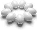 SallyFashion Wooden Fake Eggs - 9 PCS White Easter Eggs for Nesting & Pretend Play Kitchen Accessories