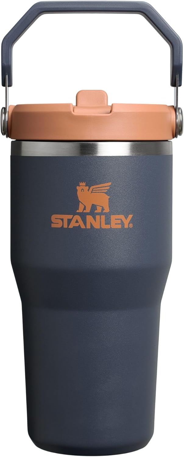 STANLEY IceFlow 2.0 Tumbler - 20 oz Insulated Stainless Steel Water Bottle | Flip Straw & Handle | BPA-Free | Twilight