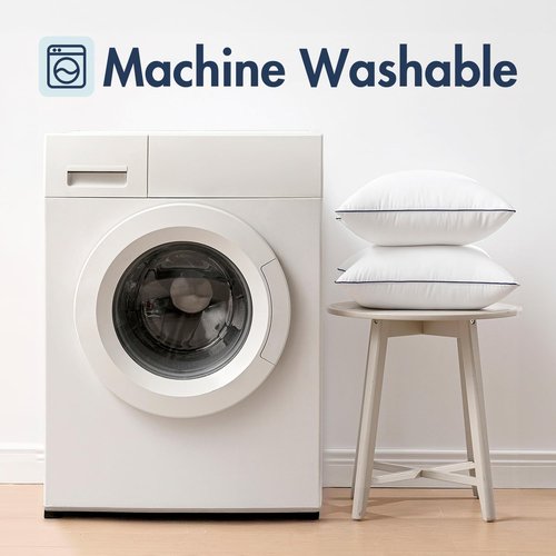 MIULEE 24x24 Euro Pillow Inserts, Fluffy Down Alternative Filling Pack of 2 Ultra Soft Throw Pillows for Bed Sofa Couch