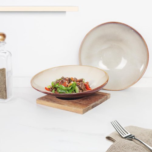 jinsongdafa Ceramic Pasta Bowls 17 Oz, Salad plates, for Serving Soup Pasta Noodle Dinner, Set of 4 Large Kitchen Serving Bowls Plates, Microwave Safe, apply Indoor Outdoor, Bevel edge 9.2 Inch