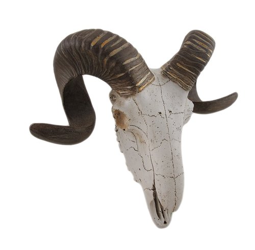 Deco 79 Polystone Sheep Home Wall Decor Skull Wall Sculpture, Wall Art 14" x 5" x 12", White
