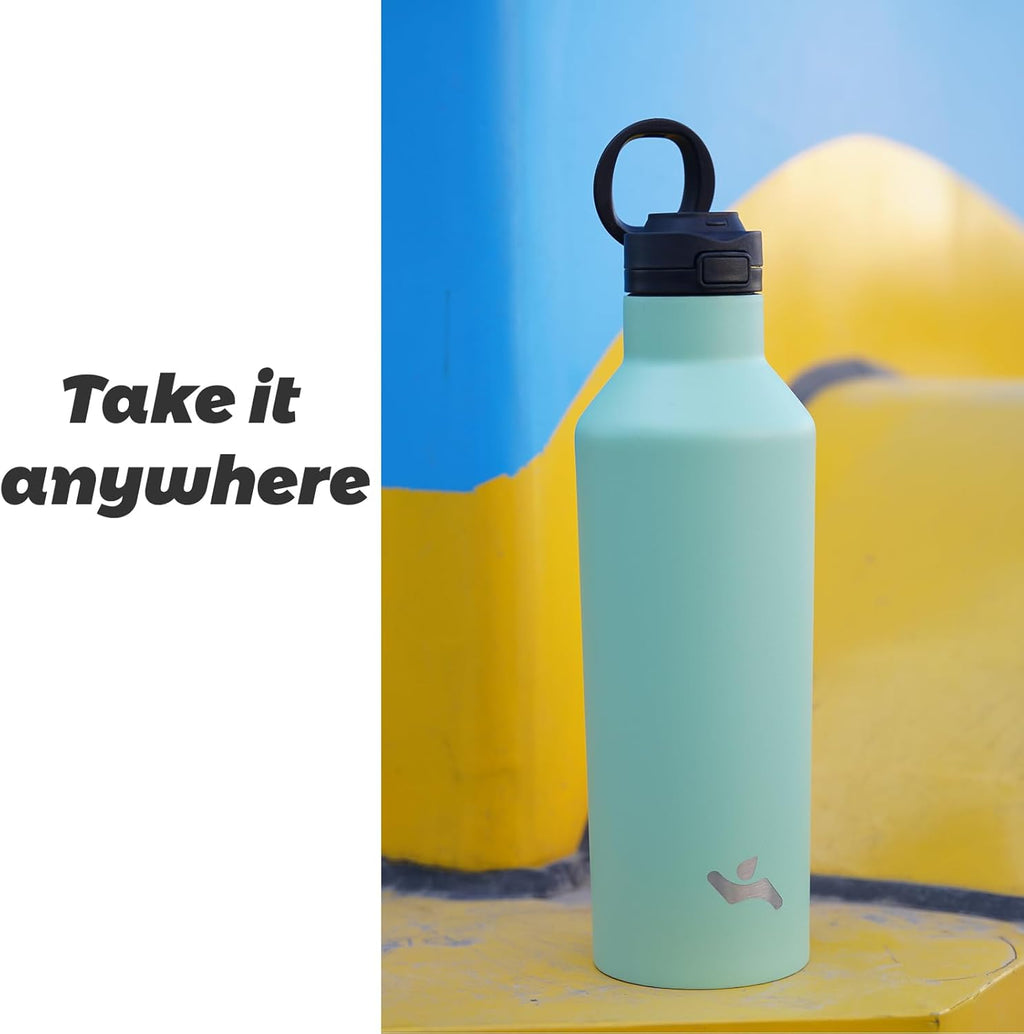 Skiennix Insulated Water Bottle - 17 Oz Double Wall Vacuum Stainless Steel Flask with Straw & Lids | Rainbow