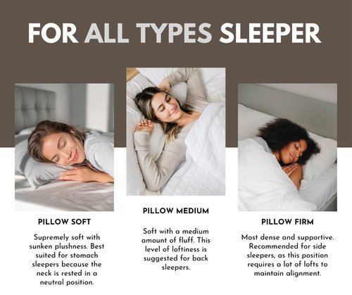 baisihan Premium Goose Down Pillows Standard Size - 700+ Fill Power, Down Pillow for Stomach Sleeper, 100% Cotton 500 TC Cover Down Pillow Standard Size Plush Pillow 1 Pack 20"x26"