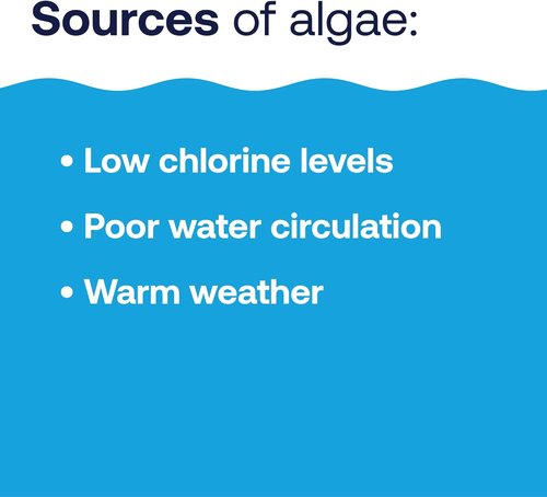 HTH 67289 Algae Guard Ultra - Long-Lasting Swimming Pool Care Chemical, 32 Fl Oz