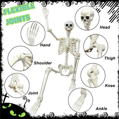 UMEELR 5.4FT Halloween Skeletons, Full Size Skeleton with Skeleton Dog, Plastic Life Size Human Skeletons for Halloween Graveyard Haunted House Party Decoration