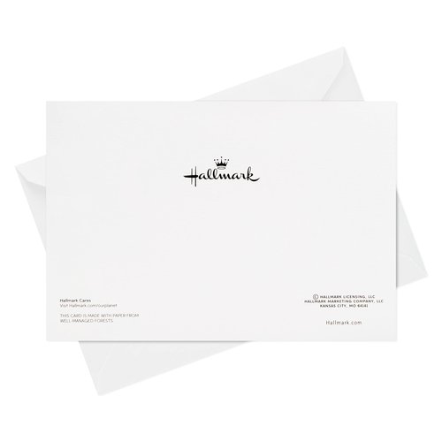 Hallmark Boxed Holiday Cards, Ice Skating (40 Cards with Envelopes)