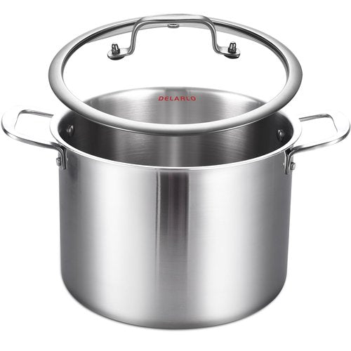 DELARLO Tri-ply Stainless Steel 20QT Stock Pot, Compatible with All Stoves Up to 600℉, 18/10 Induction Big Cooking Pot with Lid, Fast & Even Heating, Durable Large Soup Pot