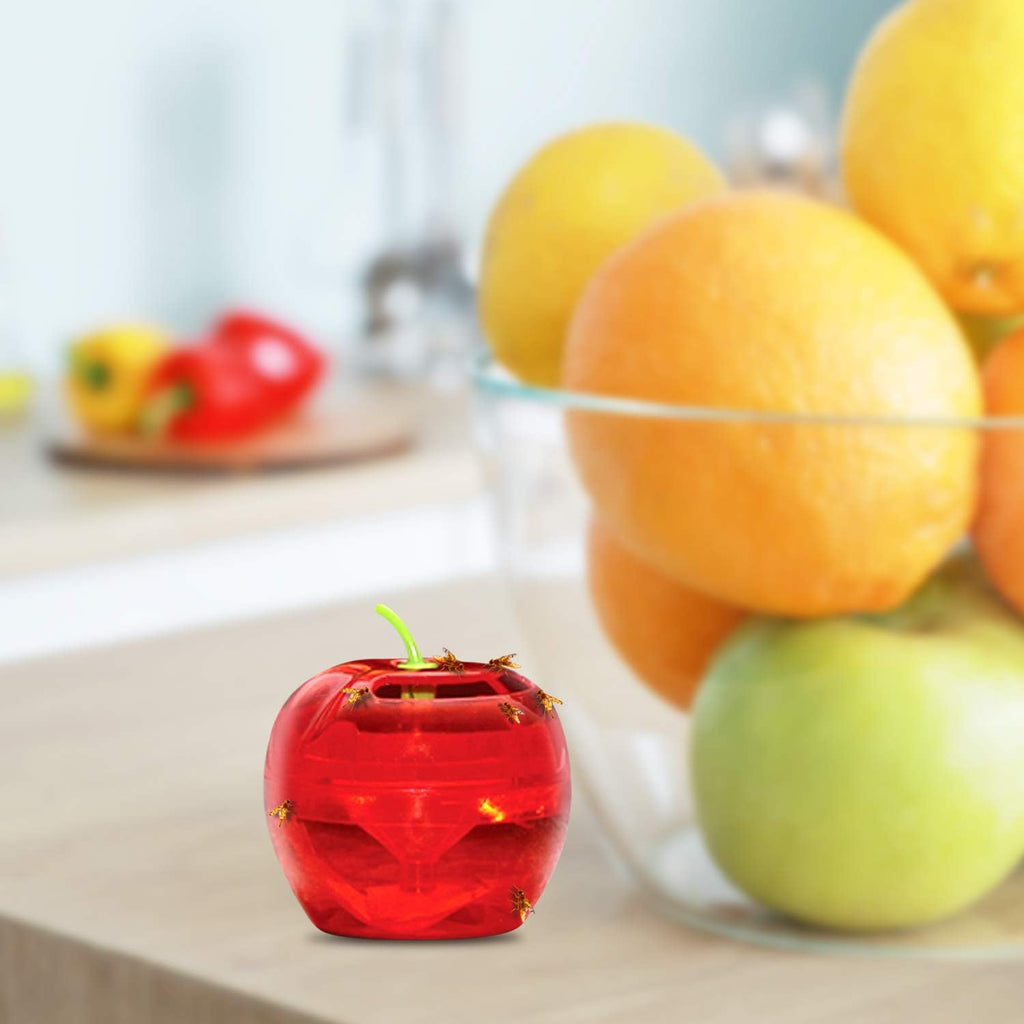 Raid Fruit Fly Traps - Effective Indoor Gnat Catcher with 2 Lures & 2 Refills | Safe, Easy-to-Use Solution