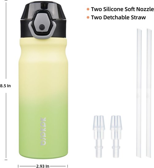 BJPKPK Insulated Water Bottle - 18oz Stainless Steel Flask with Straw & Carry Handle - Lime Green