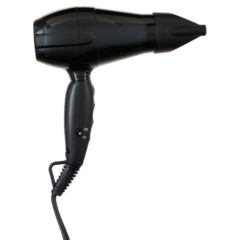 Nano Titanium Compact Hair Dryer with Ionic Technology