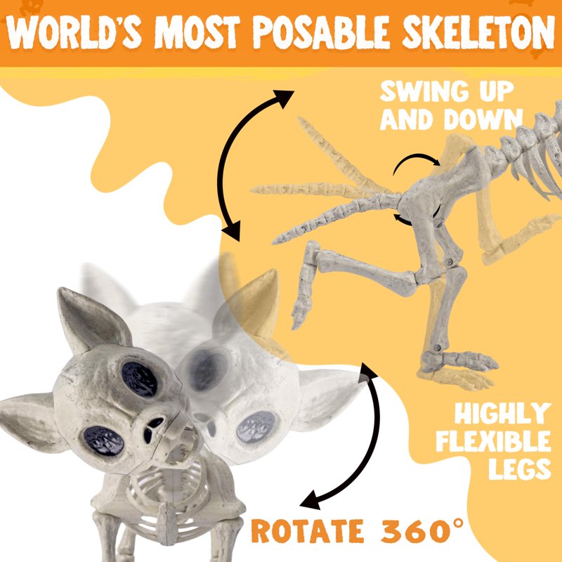 Halloween Plastic Dog Skeleton with Posable Joints - Spooky Dog Decor, 12.6 Inch - Indoor & Outdoor Decoration - Chihuahua Variation