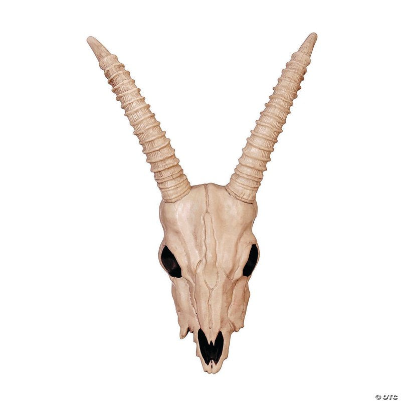 Halloween Skeleton Gazelle Skull Decoration - 18 x 12 Inches