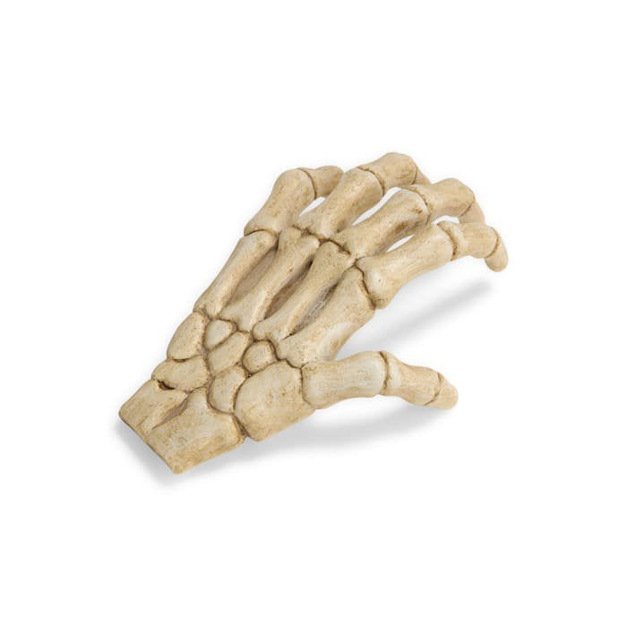 Large Halloween Skeleton Claw Reptile Habitat Hideaway - White