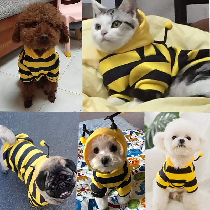 Pet Bee Halloween Costume XL for Cats and Small to Medium Dogs – Cosplay Dress Up