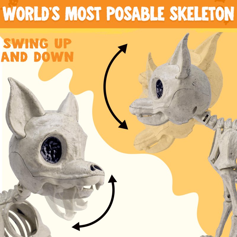Halloween Plastic Dog Skeleton with Posable Joints - Spooky Dog Decor, 12.6 Inch - Indoor & Outdoor Decoration - Chihuahua Variation