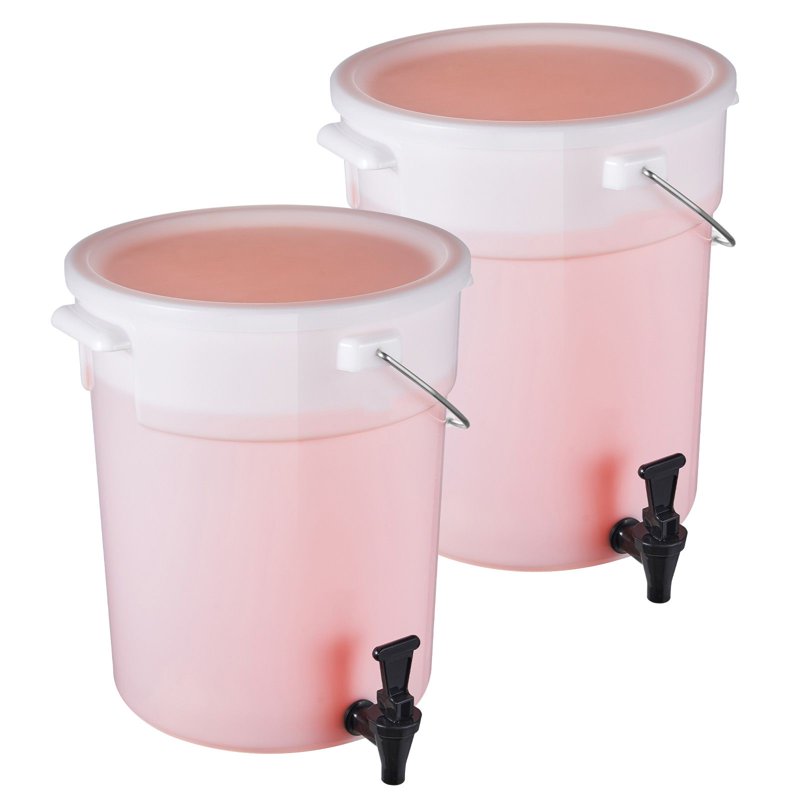 5 Gallon Plastic Beverage Dispenser with Spring-Loaded Spigot
