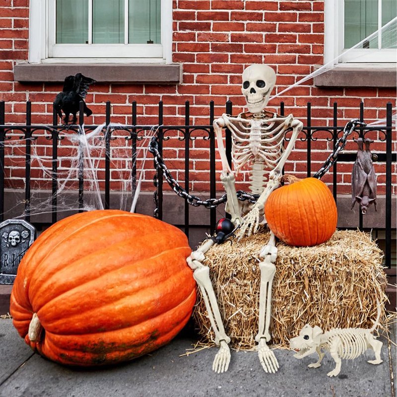 Halloween Skeleton Set – 2 Pcs Posable Human & Dog Skeleton Decorations Indoor Outdoor