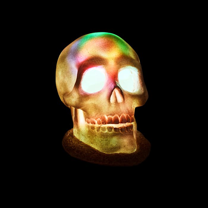 Large Halloween LED Skull Aquarium Decor - White Ghoulish Pet Habitat Light
