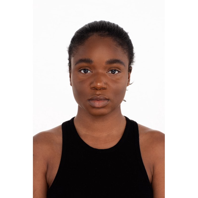Complete Brow Styler Duo with Precision Pencil and Volumizing Gel
