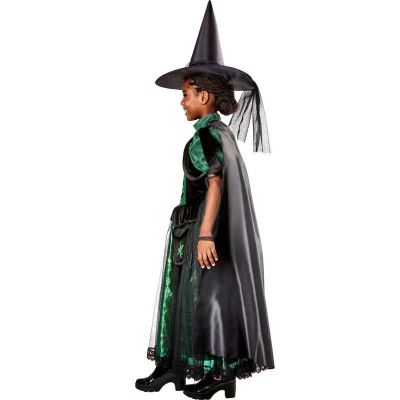 Kids Wicked Witch Costume Deluxe - The Wizard of Oz, Small, Green & Black