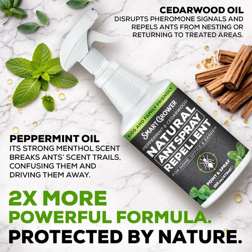 Natural Ant Spray by [Brand Name] - Fast-Killing & Repelling Formula with Peppermint & Cedarwood Oil - 16oz Pet & Family Safe