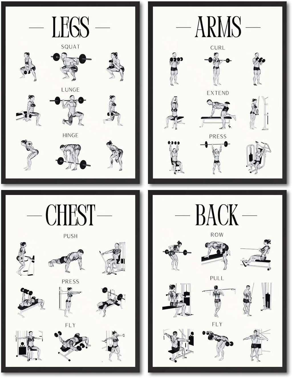 Skiennix Fitness Exercises Wall Art - Dumbbell Workout Poster for Gym & Home Decor | Strength Training
