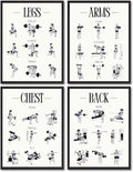 Skiennix Fitness Exercises Wall Art - Dumbbell Workout Poster for Gym & Home Decor | Strength Training