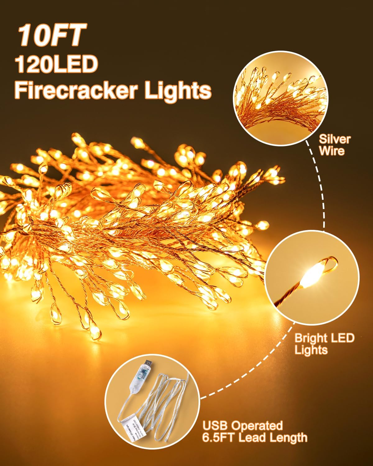 Skiennix USB Fairy Christmas Lights - 10FT 120LED Twinkle Cluster with 8 Modes & Remote | Silver Wire Decor