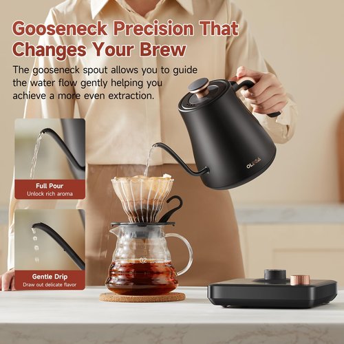 OLEGA Gooseneck Electric Kettle: 1000W Electric Kettles with Temperature Control 0.8L Stainless Steel Electric Tea Kettle Gooseneck Kettle for Coffee Tea Keep Warm (Black)