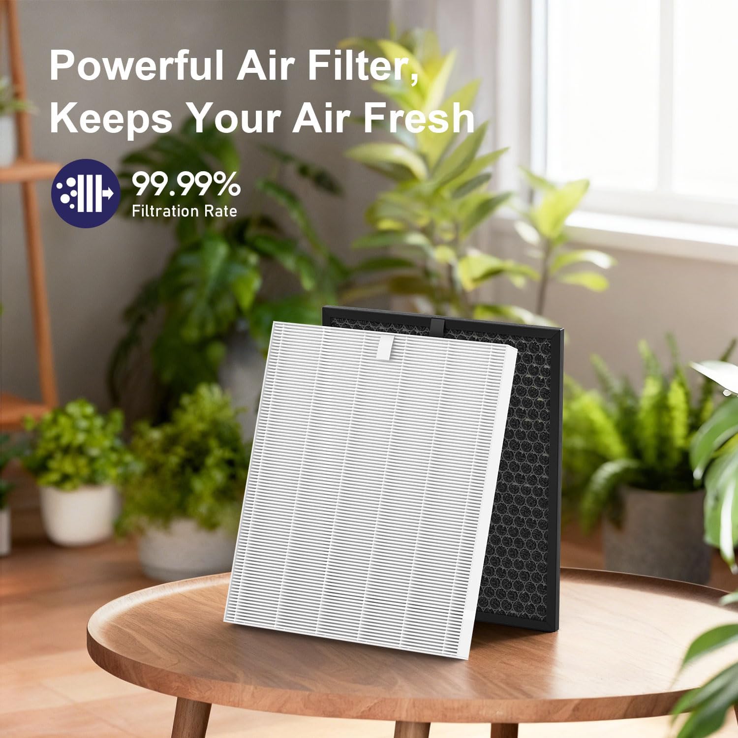Winix Filter Q - Replacement HEPA & Carbon Filters Combo Pack for 5510/5520 Air Purifiers | 2 HEPA & 2 Carbon Filters
