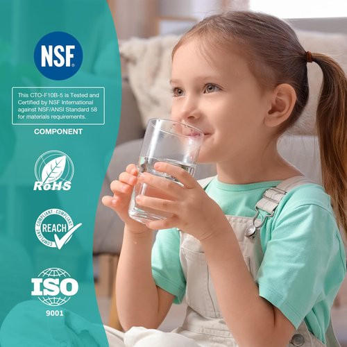 SimPure Whole House Water Filter Cartridges 5 Micron 10" x 4.5" CTO Activated Carbon Block, For DB10P, DB10C-2, GE GXWH40L, GXWH35F, BB10, FXHTC, FC15B, 3 Pack