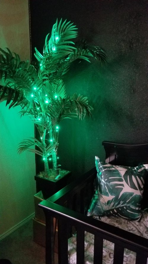 Beingreat 2 Pack USB Plug-in Fairy Lights, 33ft 100 Mini LED String Lights with Black Green Wire for Bedroom Wedding St. Patrick's Day Christmas Party DIY Crafting, Green