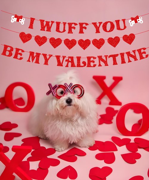 Valentines Day Banner Garland, Set of 3 Glitter Valentines Day Decorations Red Heart Garlands, Dog Valentines Banner Decorations for Home Outdoor Valentines Birthday Anniversary Decor