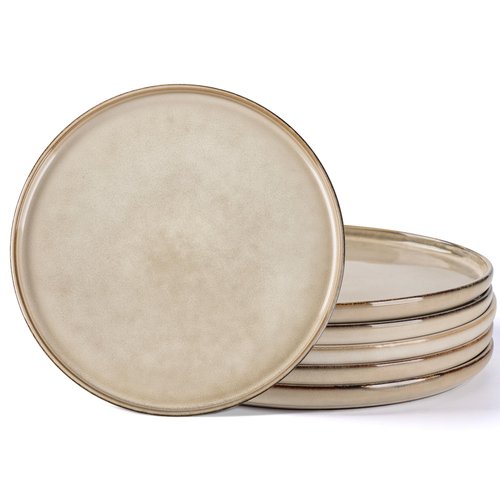 AmorArc Dinner Plates Set of 6, 10.5 Inch Reactive Glaze Ceramic Plates Set, Microwave, Dishwasher Safe, Scratch Resistant, Modern Large Dinnerware Dishes Set Kitchen Stoneware Plates