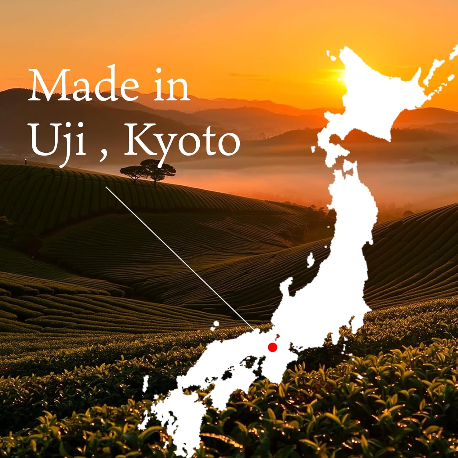 SHIZUGOKORO Authentic Japanese Matcha Green Tea Powder - Ceremonial Grade - Uji Kyoto - 30g (1.06oz)