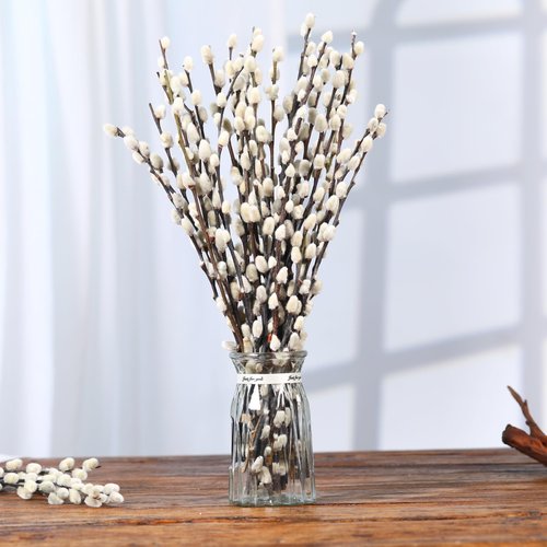 Natural Preserved Dried PussyWillow Branches for Vases, 15 Stems Real Willows, 17" Snow Pussywillows, Dried Flowers for Indoor and Outdoor Decor, Wedding Home DIY Floral Art Plants Fireplace