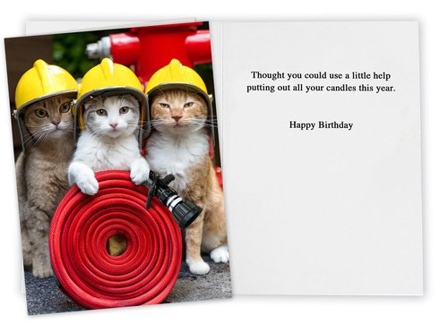CardFool Funny Cat Birthday Card for women, men, family & friends - hilarious greeting card if you need help putting out your candles birthday cards for all