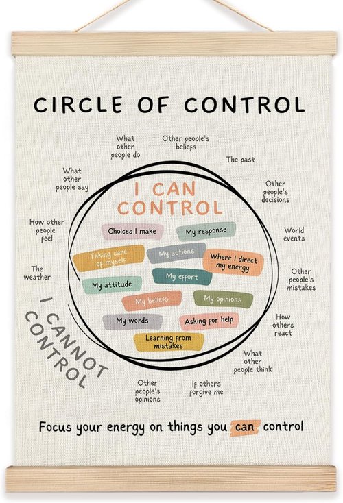 LZYRF Mental Health Wall Art - Framed Therapy Office Decor | Circle of Control Canvas Print, 12x16 Inch