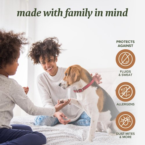 Beckham Hotel Collection Mattress Protector — Hotel-Grade Viscose Blend, Silent Waterproof Protection That Preserves Mattress Feel, Queen
